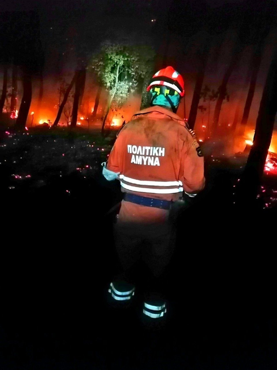 ΠΟΛΙΤΙΚΗ ΑΜΥΝΑ