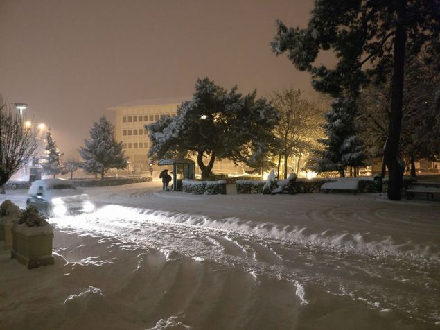 Τρικαλα