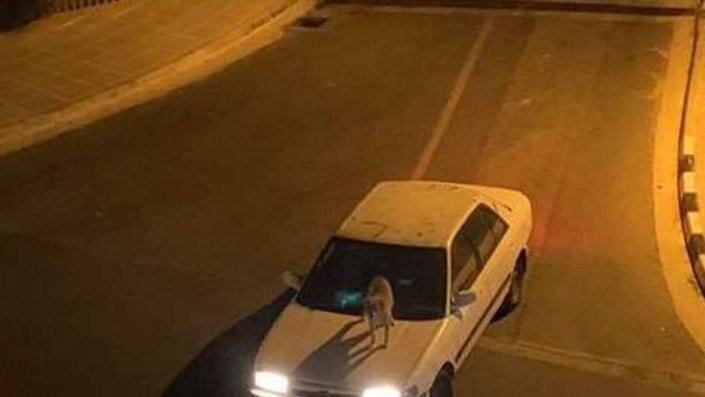 βτγωρφψεδαςδςαδ