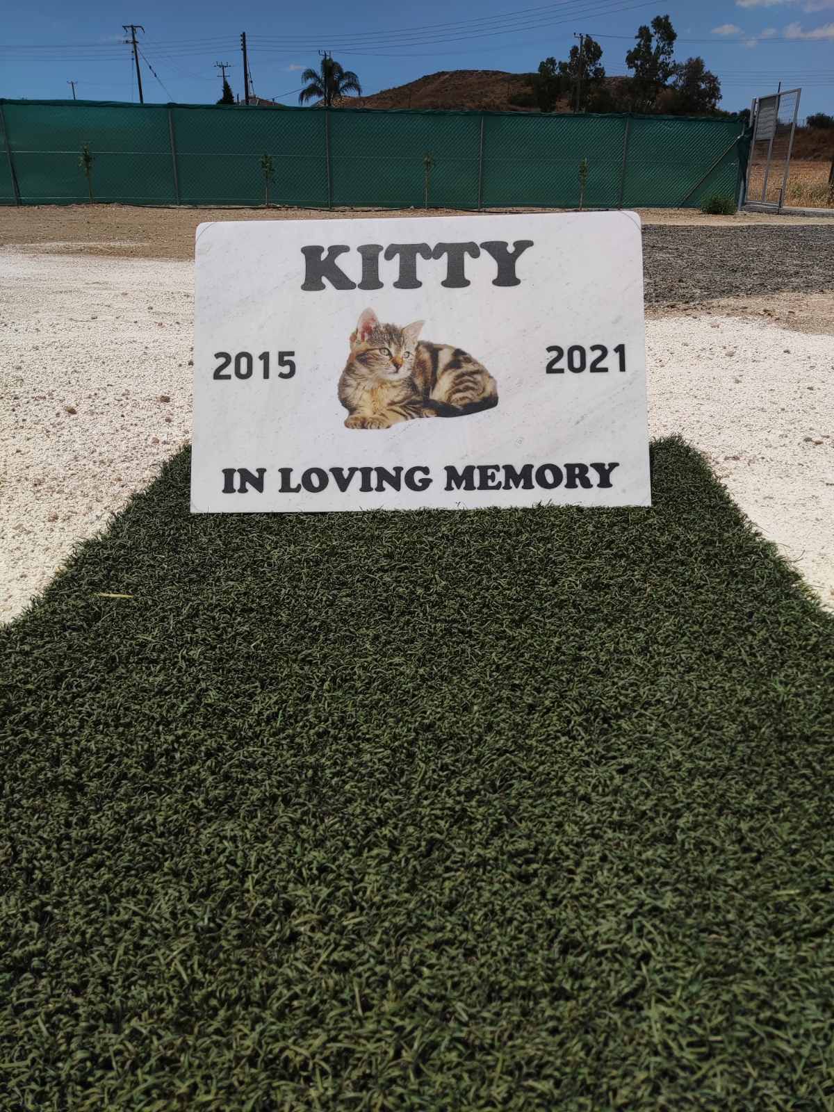 pet-cemetery3