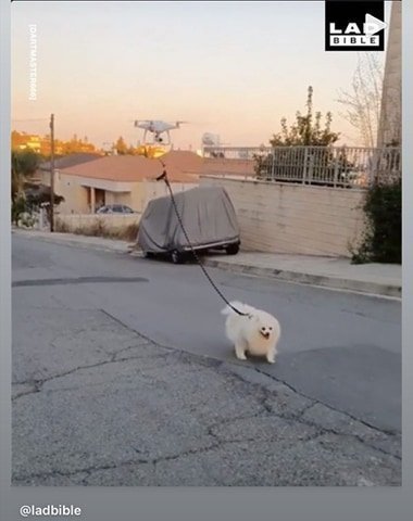 γβωρφεαδς