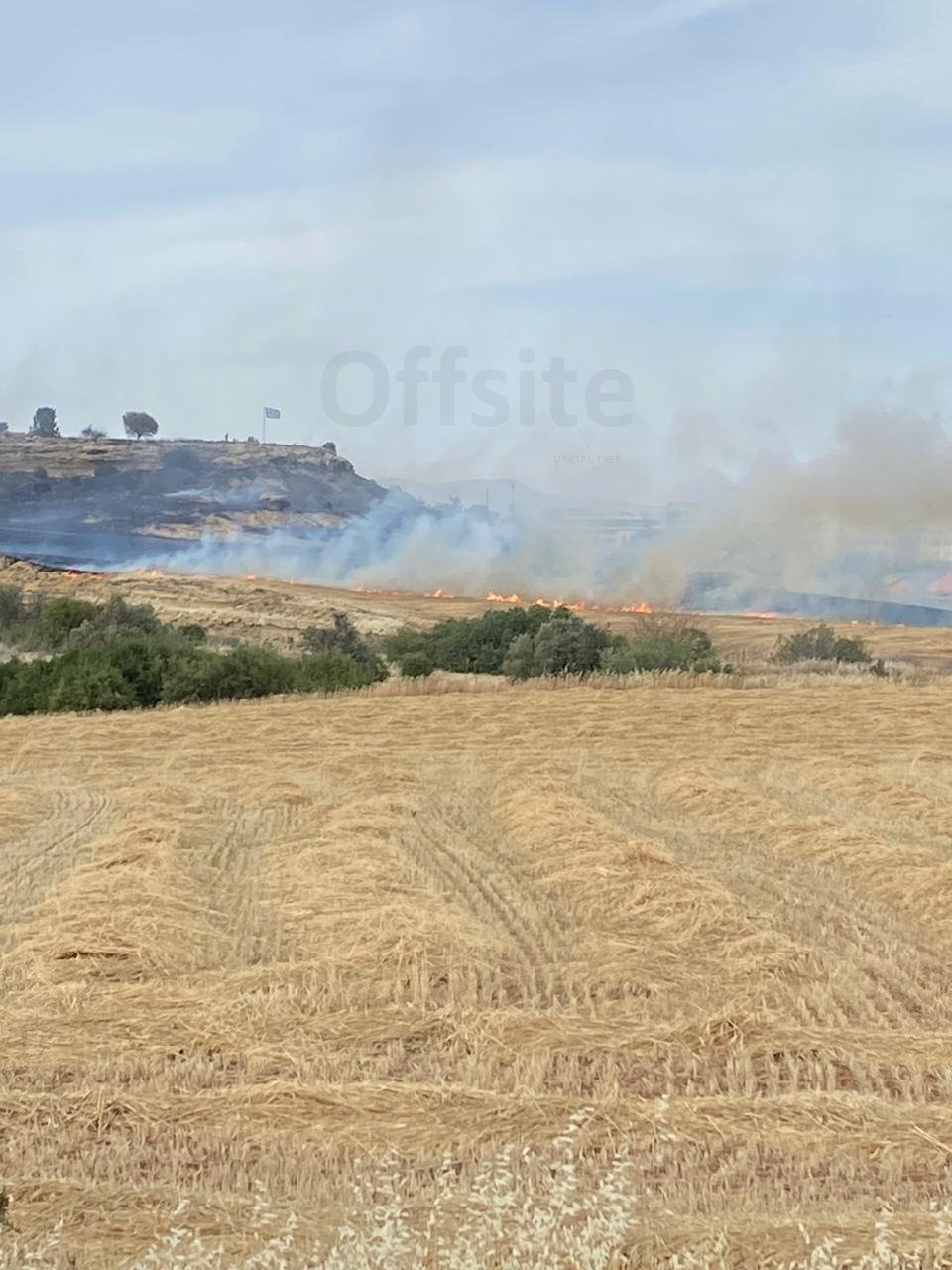 fotia-latsia1