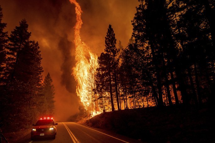 kalifornia.jpg