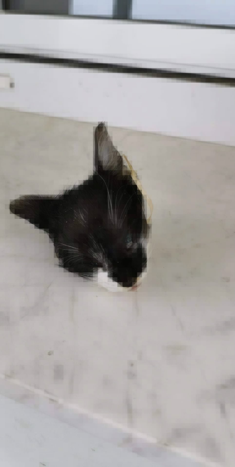 ξκβκ