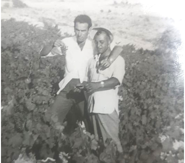 ν