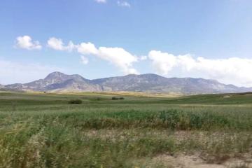 pentadaktylos