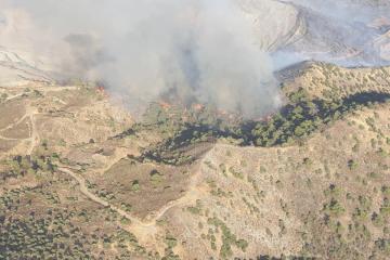 Τα αίτια πρόκλησης της πυρκαγιάς διερευνώνται.