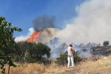 Ανυπολόγιστο το κόστος - Κόποι δεκάδων ετών εξανεμίστηκαν - Καταστροφικές οι συνέπειες 