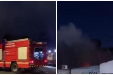 Φωτιά στο Λανίτειο/ΒΙΝΤΕΟ