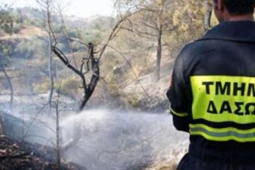 Ανοίχτηκαν 3 κενές θέσεις στο Τμήμα Δασών - Λεπτομέρειες