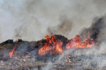 Η Έφορος Ελέγχου Κρατικών Ενισχύσεων ενέκρινε το σχέδιο €15,5 εκ. για ζημιές στη γεωργία από την πυρκαγιά