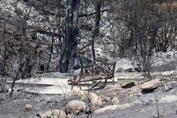 Από τις εκθέσεις των αρμοδίων τμημάτων θα εντοπίσουμε όσα επιβάλλεται να διορθωθούν λέει η Υπ.Γεωργίας
