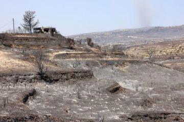 Καμένη γη Natura 2000: Το 21% της καταστροφής φέτος «χτυπά» ευαίσθητες προστατευόμενες ζώνες