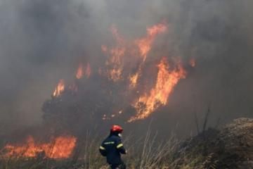 Φωτιά στη Μεσσηνία: Ολονύχτια μάχη με τις φλόγες