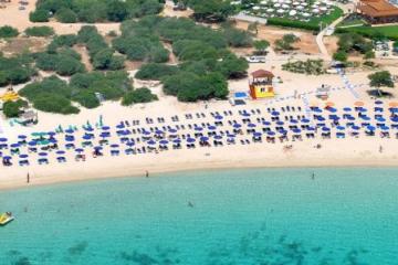 Χελώνες βολτάρουν στην πιο δημοφιλή παραλία της Αγίας Νάπας! (Φωτογραφίες & Βίντεο)