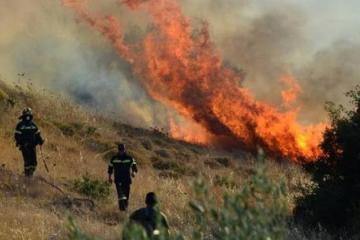 Με πτητικά μέσα κατασβέστηκε πυρκαγιά στην Πάφο