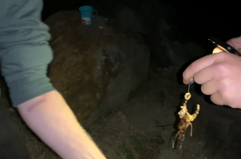Thumbnail