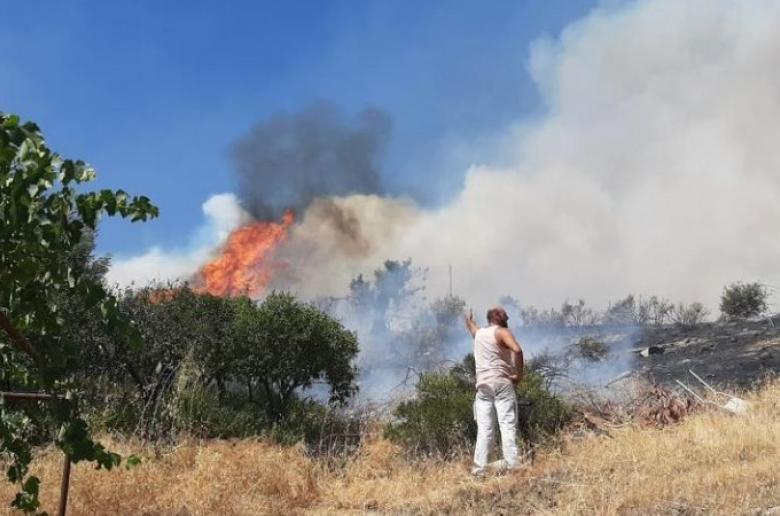 Ανυπολόγιστο το κόστος - Κόποι δεκάδων ετών εξανεμίστηκαν - Καταστροφικές οι συνέπειες 