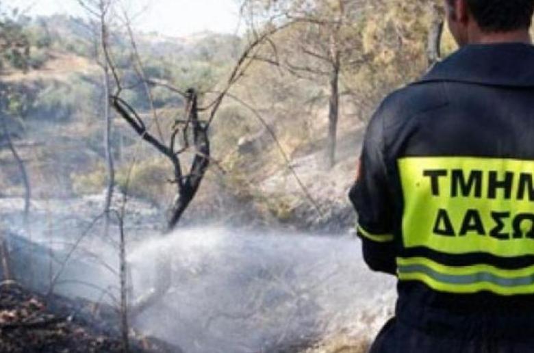 Ανοίχτηκαν 3 κενές θέσεις στο Τμήμα Δασών - Λεπτομέρειες