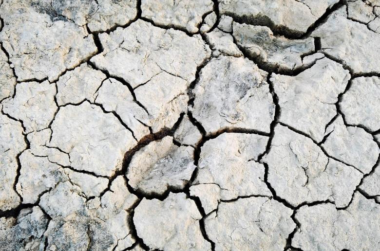 Ανομβρία: Τραγική για τους αγρότες η κατάσταση, εκτιμά ζημιές το Υπ. Γεωργίας, ψηλές οι τιμές για καταναλωτές