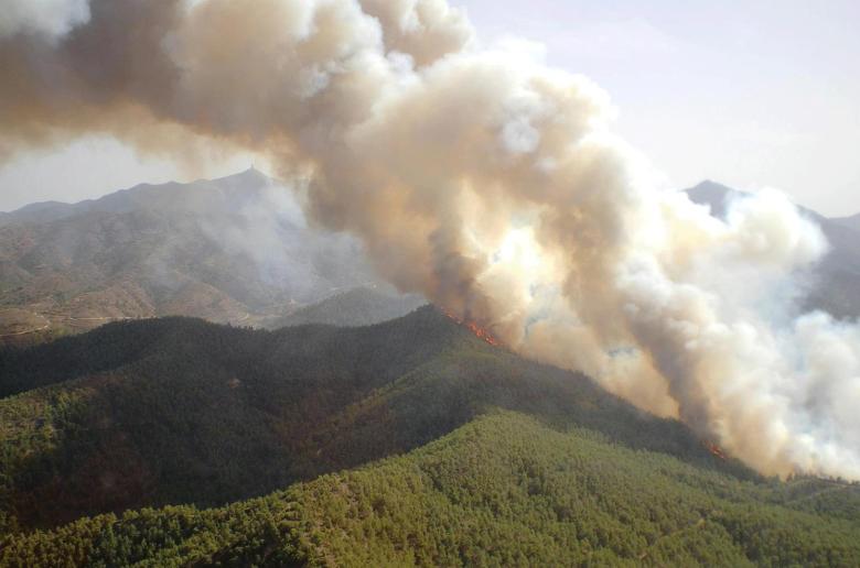 ΠΑΣΥΔΥ: Εκτός εργασιακών θεσμίων η μη ενημέρωση για μεταφορά ΠΥ και Δασών στο ΥΠΕΣ