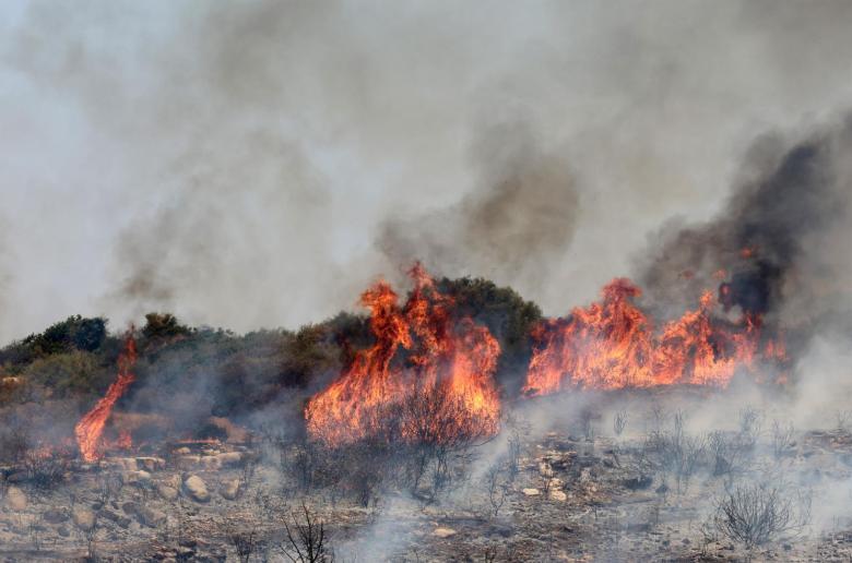 Η Έφορος Ελέγχου Κρατικών Ενισχύσεων ενέκρινε το σχέδιο €15,5 εκ. για ζημιές στη γεωργία από την πυρκαγιά