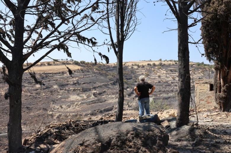 Αρχίζουν οι δηλώσεις για ζημιές σε καλλιέργειες από την πυρκαγιά, ανακοίνωσε το Υπ. Γεωργίας
