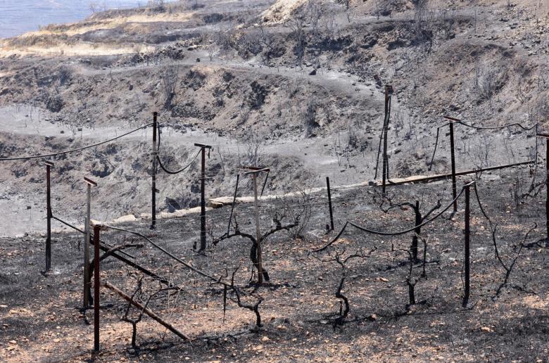 Καταβολή τριών μισθών σε πυρόπληκτους εργαζόμενους αποφάσισε το Υπουργικό