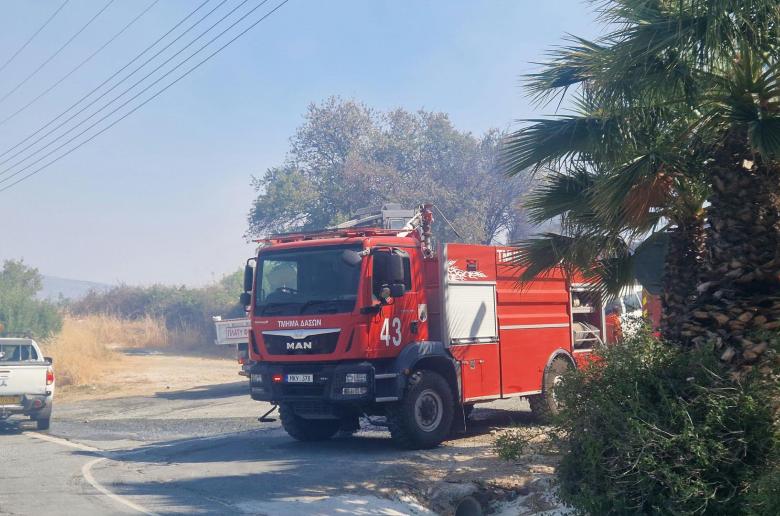 Ανησυχία ΠΑΣΥΔΥ για κατακερματισμό δασικής διαχείρισης λόγω μετακίνησης στο ΥΠΕΣ