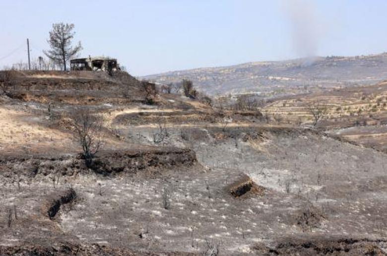 Καμένη γη Natura 2000: Το 21% της καταστροφής φέτος «χτυπά» ευαίσθητες προστατευόμενες ζώνες