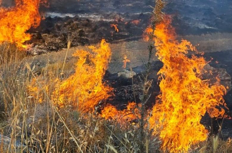 Πύρινος λογαριασμός: Το βαρύ οικονομικό τίμημα των πυρκαγιών