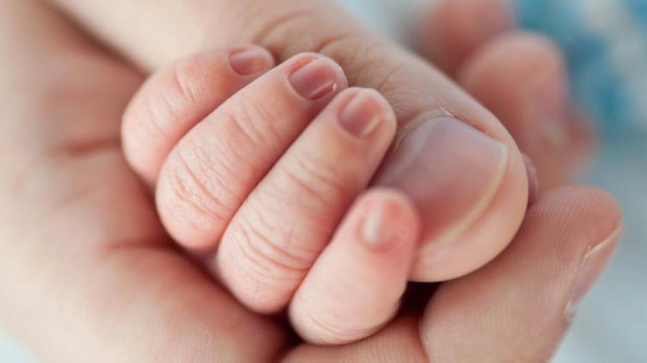 Τα πρώτα μωρά του 2017 γεννήθηκαν στην Λεμεσό Τα πρώτα μωρά του 2017 γεννήθηκαν στην Λεμεσό